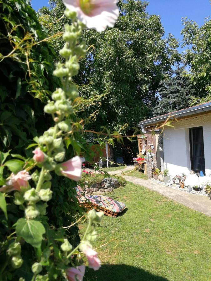 Bungalow Bei Warnemuende Elmenhorst/Lichtenhagen Exteriör bild